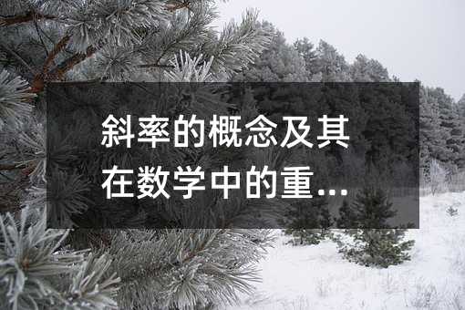 斜率的概念及其在數學中的重要性