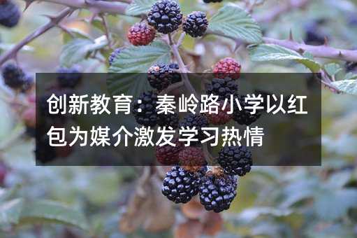 創新教育:秦嶺路小學以紅包為媒介激發學習熱情