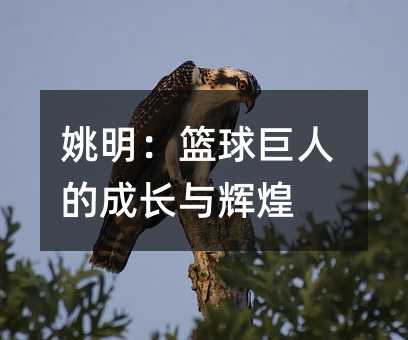 Ҧ@˵ĳLcx