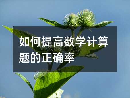 如何提高數(shù)學計算題的正確率