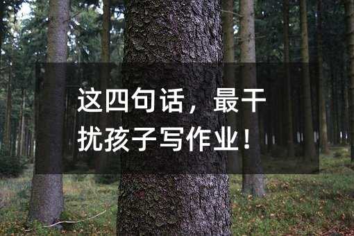 這四句話,最干擾孩子寫作業!