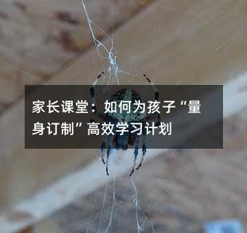 家長課堂:如何為孩子“量身訂制”高效學習計劃