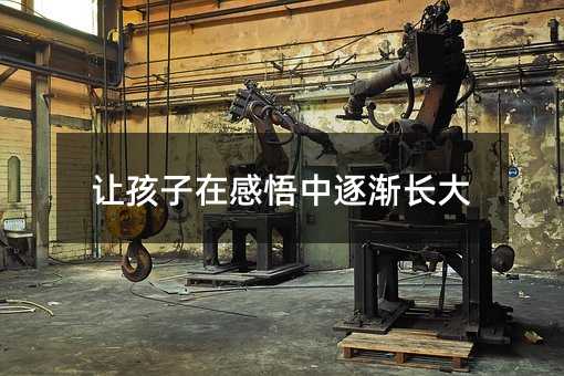 讓孩子在感悟中逐漸長大