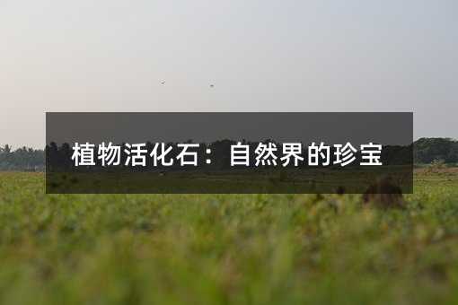 植物活化石:自然界的珍寶