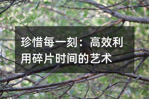 ��ϧÿһ�̣���Ч������Ƭ�r�g��ˇ�g