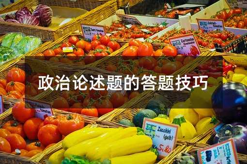 政治論述題的答題技巧