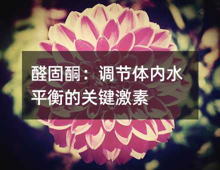 ȩͪ{wˮƽPI