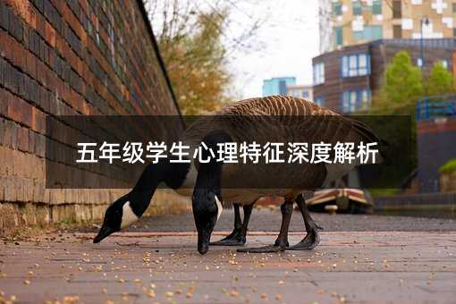 五年級(jí)學(xué)生心理特征深度解析