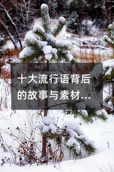 十大流行語背后的故事與素材集錦