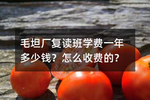 毛坦廠復讀班學費一年多少錢?怎么收費的?