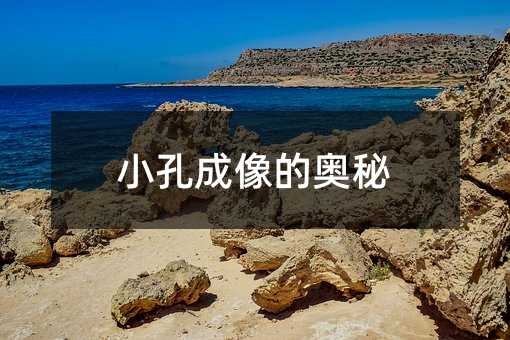 С׳ĊW