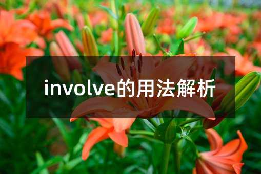 involve的用法解析