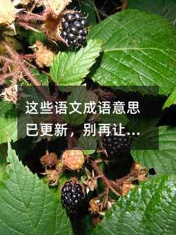 @ЩZĳZ˼Ѹ£e׌eˣ