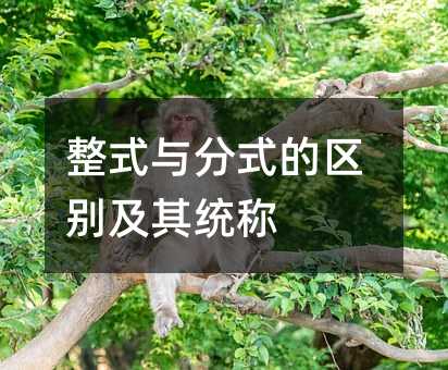 整式與分式的區別及其統稱