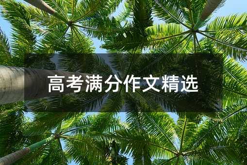 高考滿分作文精選