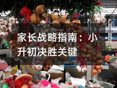 家長戰略指南:小升初決勝關鍵