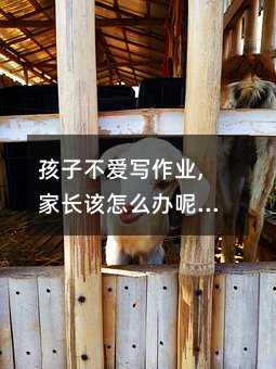 ���Ӳ��ی����I(y��),���Lԓ��ô�k�أ����Ӳ��ی����I(y��),���Lԓ��ô�kѽ��