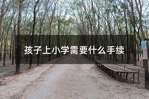 孩子上小學需要什么手續