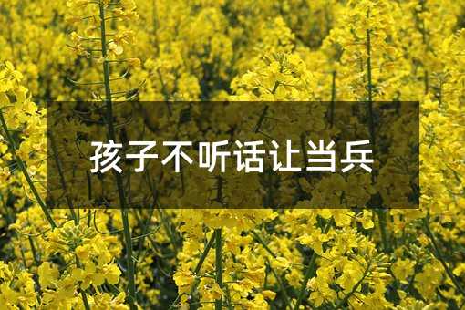 孩子不聽話讓當兵