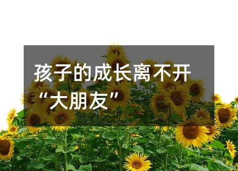 ӵĳLx_ѡ