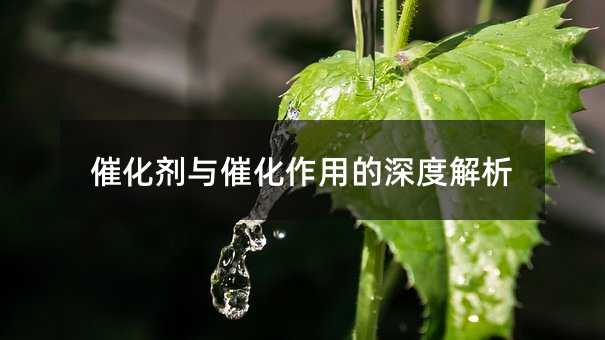 催化劑與催化作用的深度解析