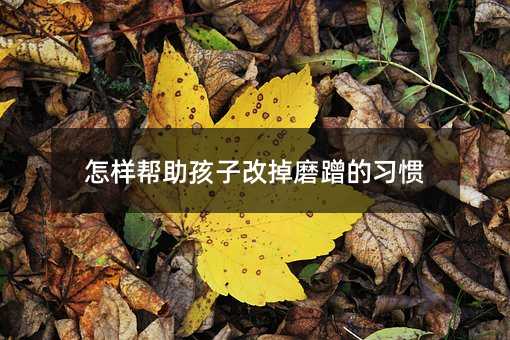 ���ӎ������Ӹĵ�ĥ������T