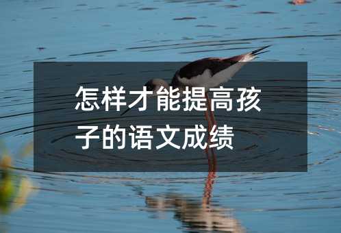ӲߺӵZĳɿ