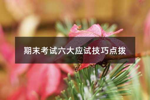 期末考試六大應試技巧點撥