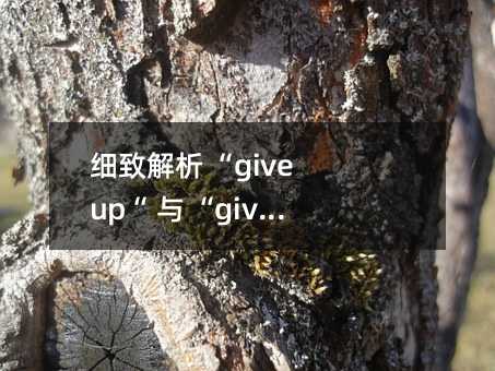 ½ give up c give up on ą^e