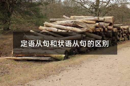 定語從句和狀語從句的區別