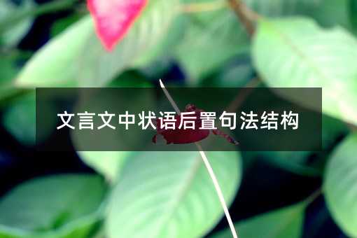 文言文中狀語后置句法結構
