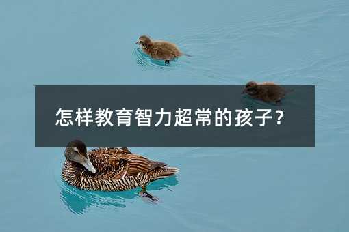 怎樣教育智力超常的孩子?
