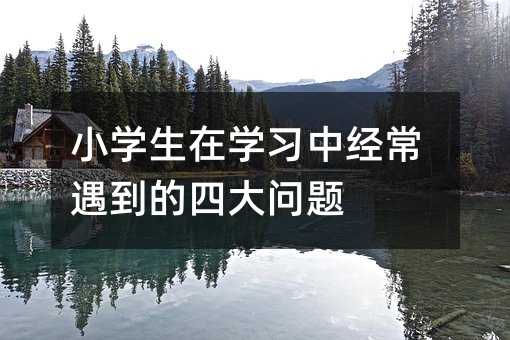 小學生在學習中經常遇到的四大問題