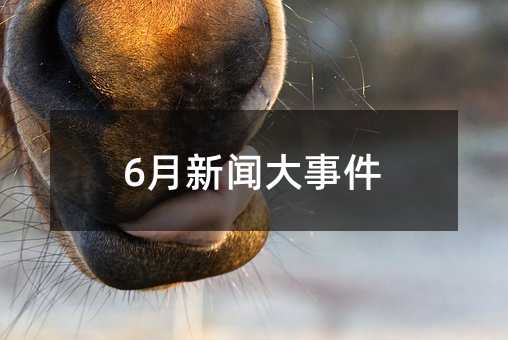 6月新聞大事件