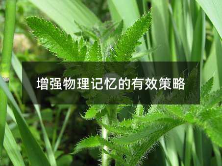 增強(qiáng)物理記憶的有效策略