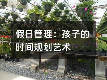 假日管理:孩子的時(shí)間規(guī)劃藝術(shù)