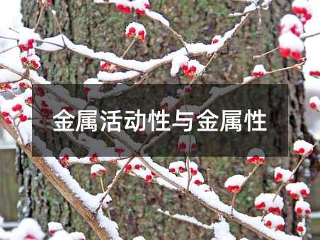 金屬活動性與金屬性
