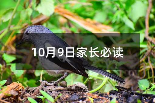 10月9日家長必讀