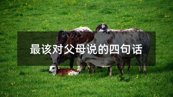 最該對父母說的四句話