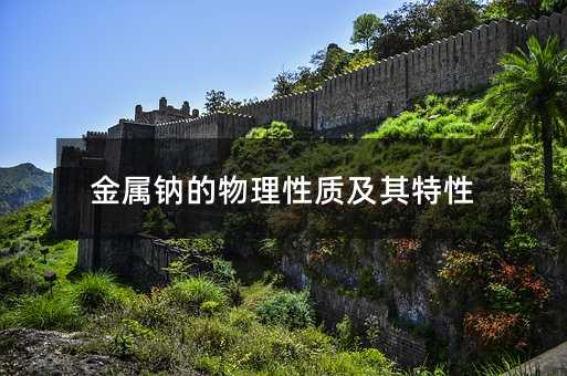 金屬鈉的物理性質及其特性