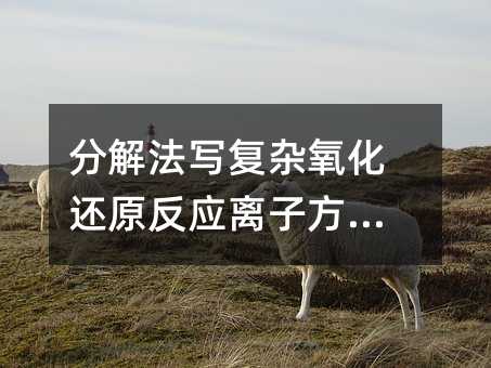 分解法寫復雜氧化還原反應離子方程式
