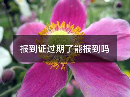 報(bào)到證過期了能報(bào)到嗎