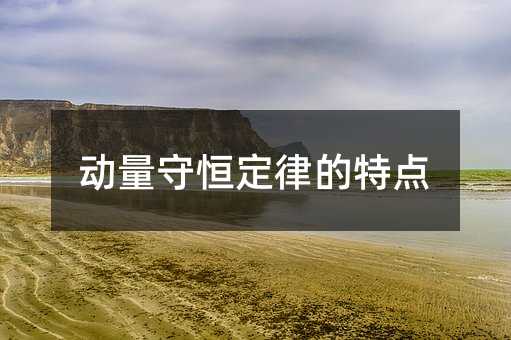 動(dòng)量守恒定律的特點(diǎn)