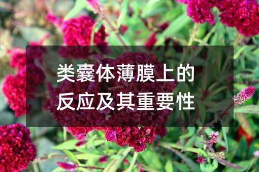 wĤϵķҪ