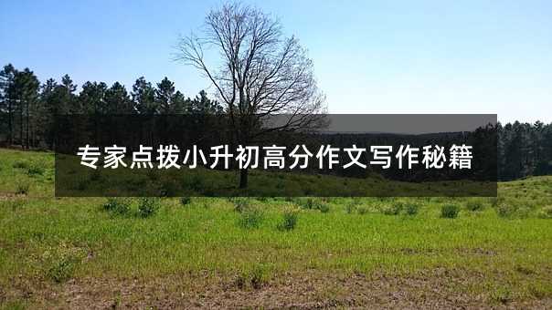 專家點撥小升初高分作文寫作秘籍