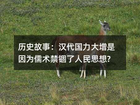 歷史故事:漢代國力大增是因為儒術禁錮了人民思想?