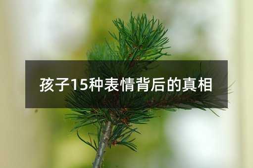 15N鱳