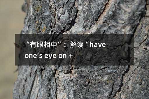 “有眼相中”:解讀“have one’s eye on + 人或物”的多重含義
