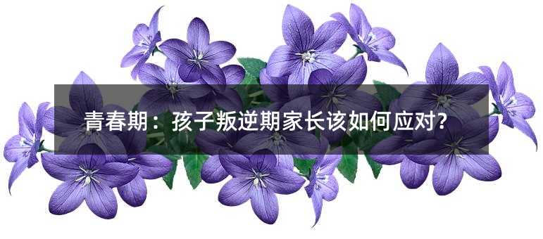 ഺڣڼL(zhng)ԓΑ(yng)(du)