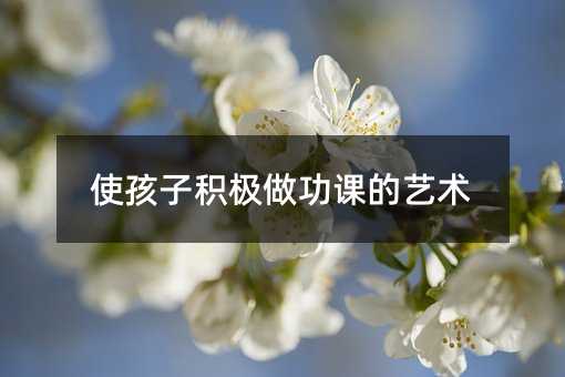 使孩子積極做功課的藝術
